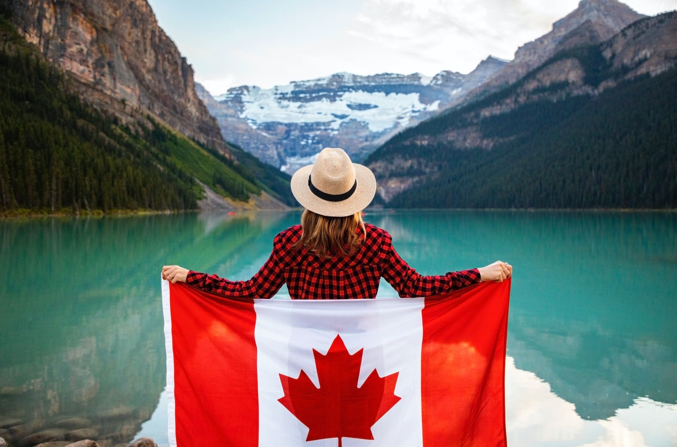 Image showing Canadian flag and words printed. Title is "Access Canada" and text is, "Leverage your success and experience in medical devices and diagnostics by promoting your business in Canada" Also printed is a link to "Access Canada"