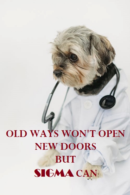 General Image of a dog dressed as a Doctor on the parent page called "Consulting services". Image has the following printed, "Old ways won't open new doors but SIGMA Can